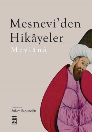 Mesneviden Hikayeler