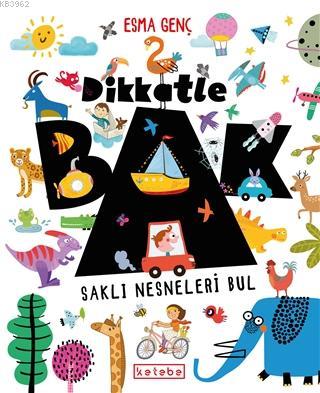 Dikkatle Bak; Saklı Nesneleri Bul