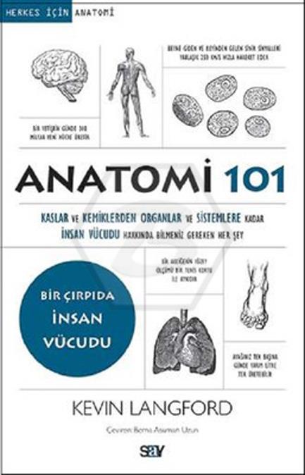 Herkes İçin 101 - Anatomi 101