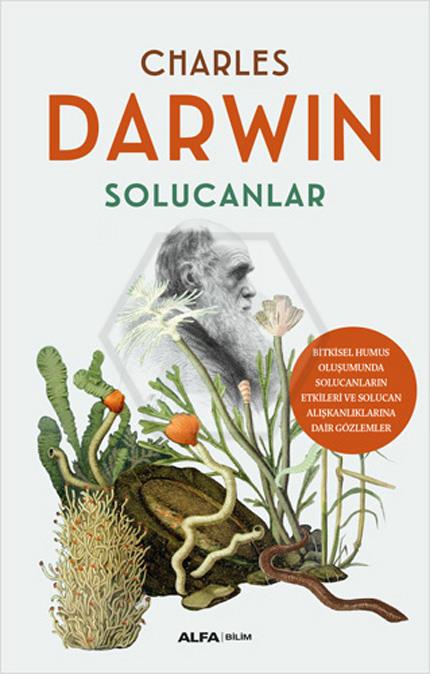 Solucanlar
