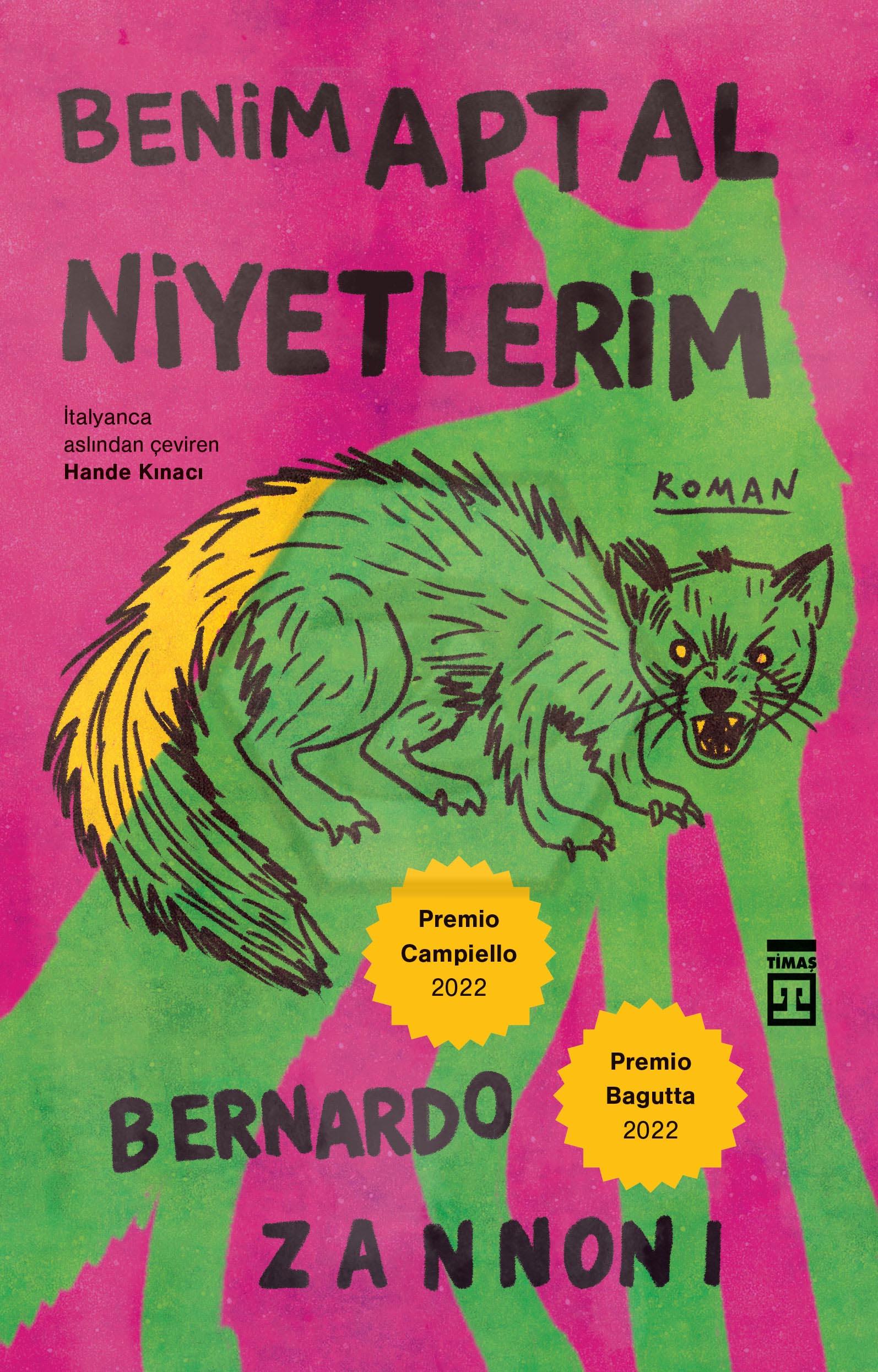 Benim Aptal Niyetlerim