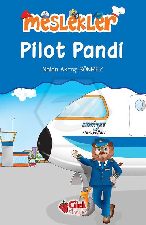 Pilot Pandi