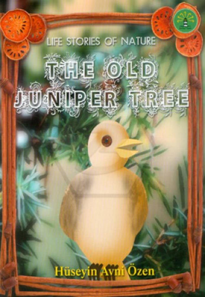 The Old Juniper Tree