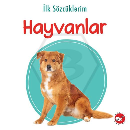 İlk sözcüklerim - Evcil Hayvanlar