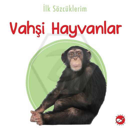 İlk Sözcüklerim - Vahşi Hayvanlar