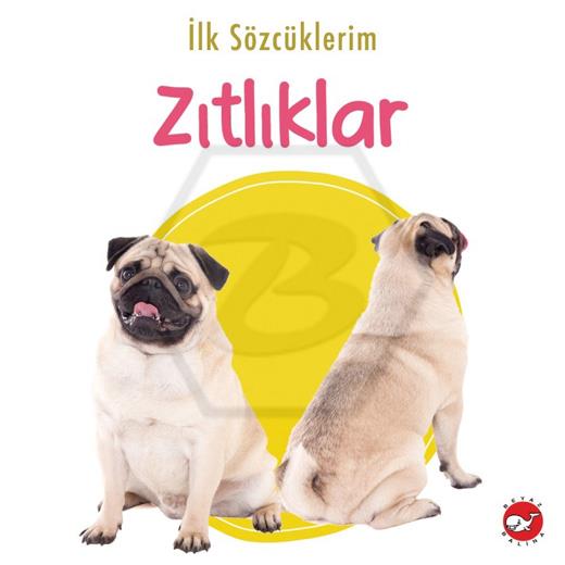 İlk Sözcüklerim - Zıtlıklar