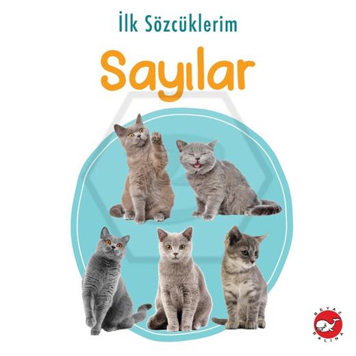İlk sözcüklerim - Sayılar