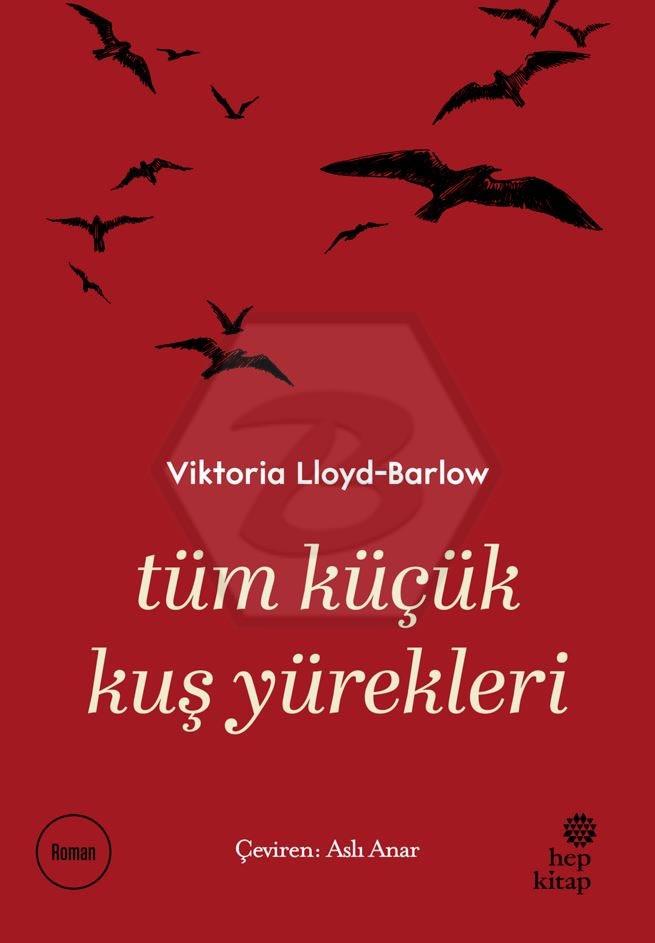Tüm Küçük Kuş Yürekleri