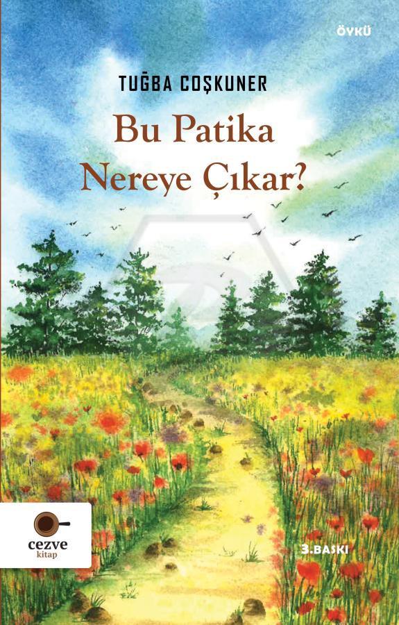 Bu Patika Nereye Çıkar?