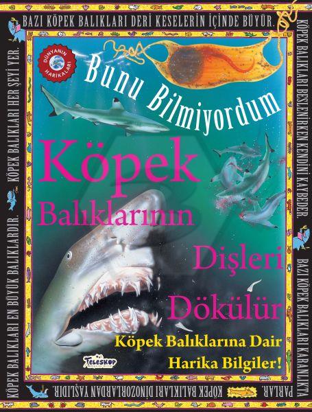 Bunu Bilmiyordum - Köpek Balıklarının Dişleri Dökülür