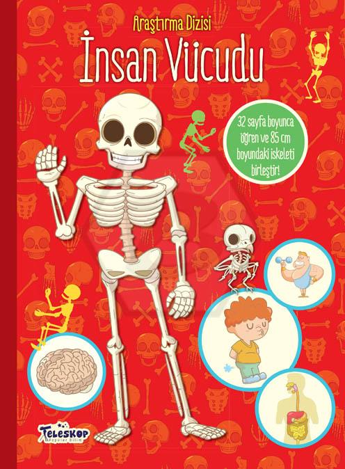 İnsan Vücudu - Araştırma Dizisi