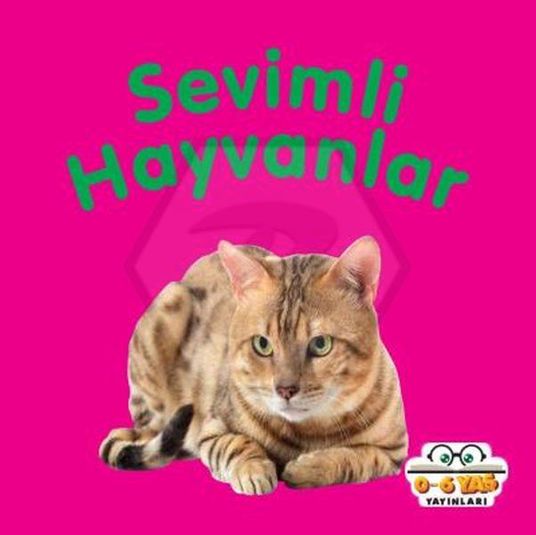 Sevimli Hayvanlar-Mini Karton Kitaplar