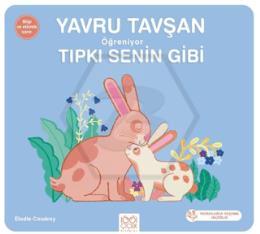 Yavru Tavşan Öğreniyor Tıpkı Senin Gibi