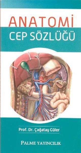 Anatomi Cep Sözlüğü
