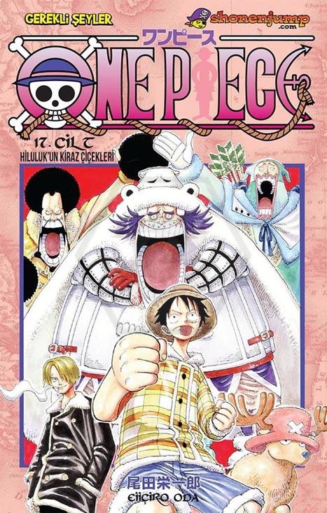 One Piece 17