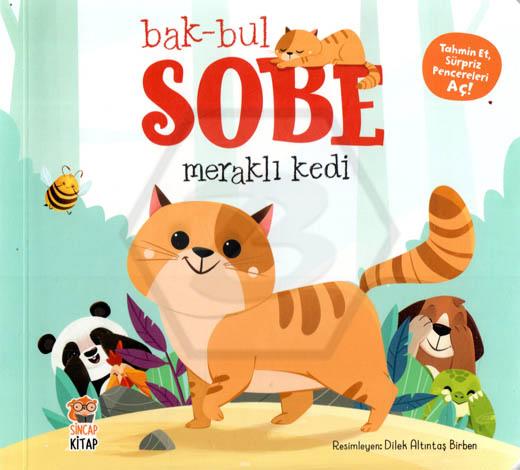 Bak Bul Sobe Meraklı Kedi