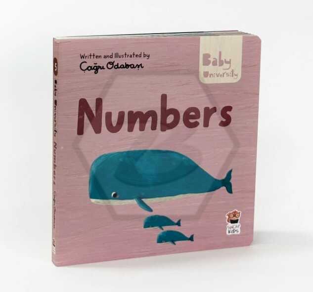 Numbers - Baby University First Concepts Stories 2