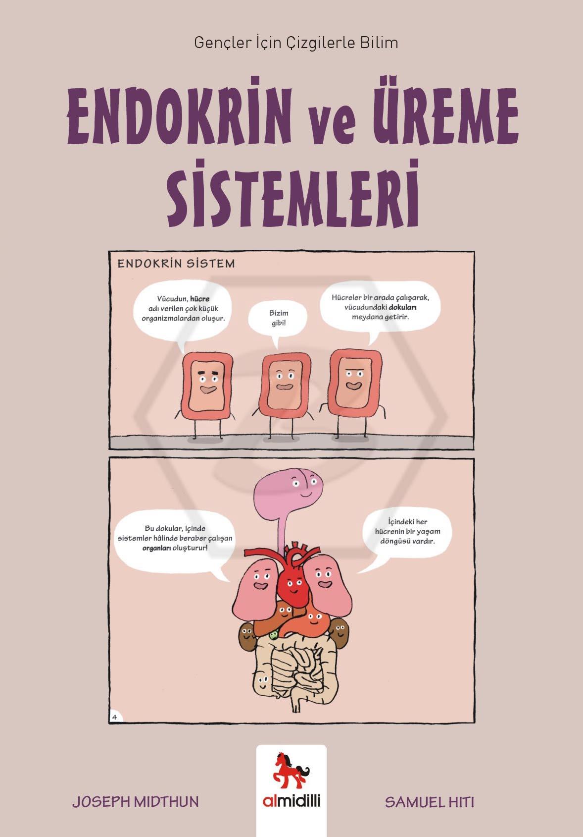 Endokrin ve Üreme Sistemleri - Gençler İçin Çizgilerle Bilim