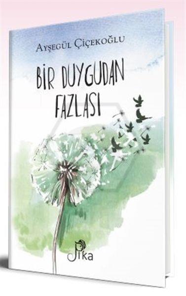 Bir Duygudan Fazlası
