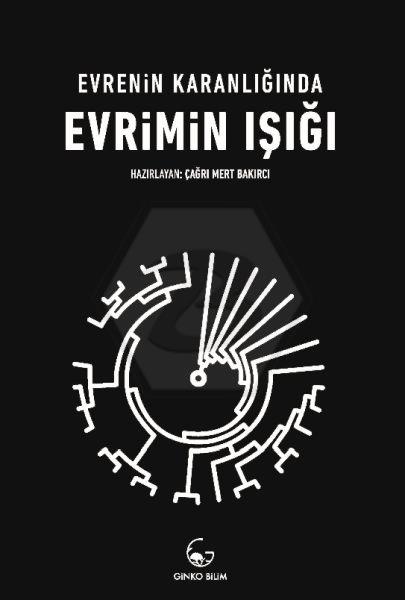 Evrenin Karanlığında Evrimin Işığı - Ginko Bilim