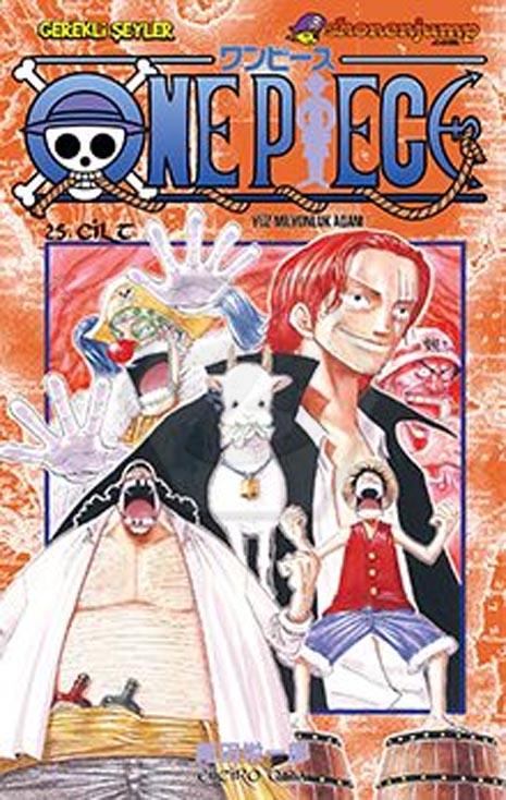 One Piece 25