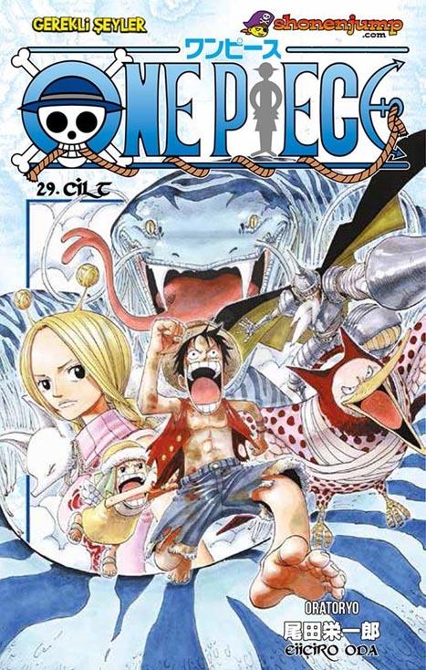 One Piece 29
