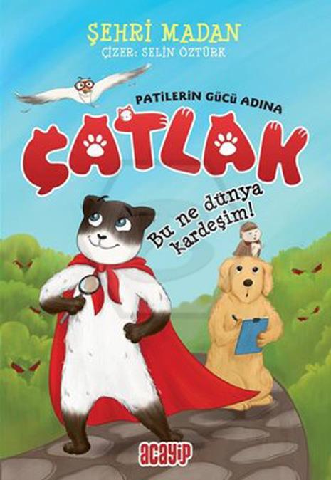 Çatlak - Bu Ne Dünya Kardeşim
