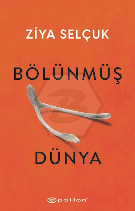 Bölünmüş Dünya