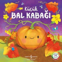 Küçük Bal Kabağı – Doğanın Eşsiz Hikayeleri 11