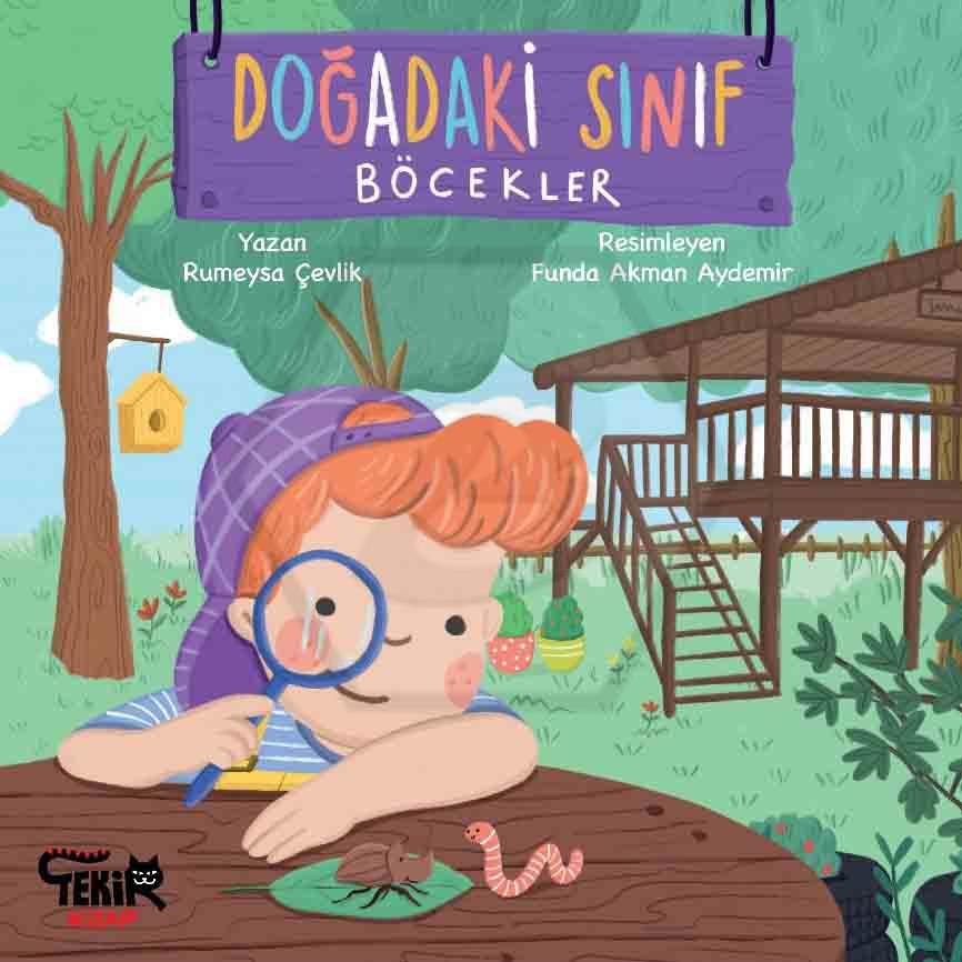 Doğadaki Sınıf - Böcekler