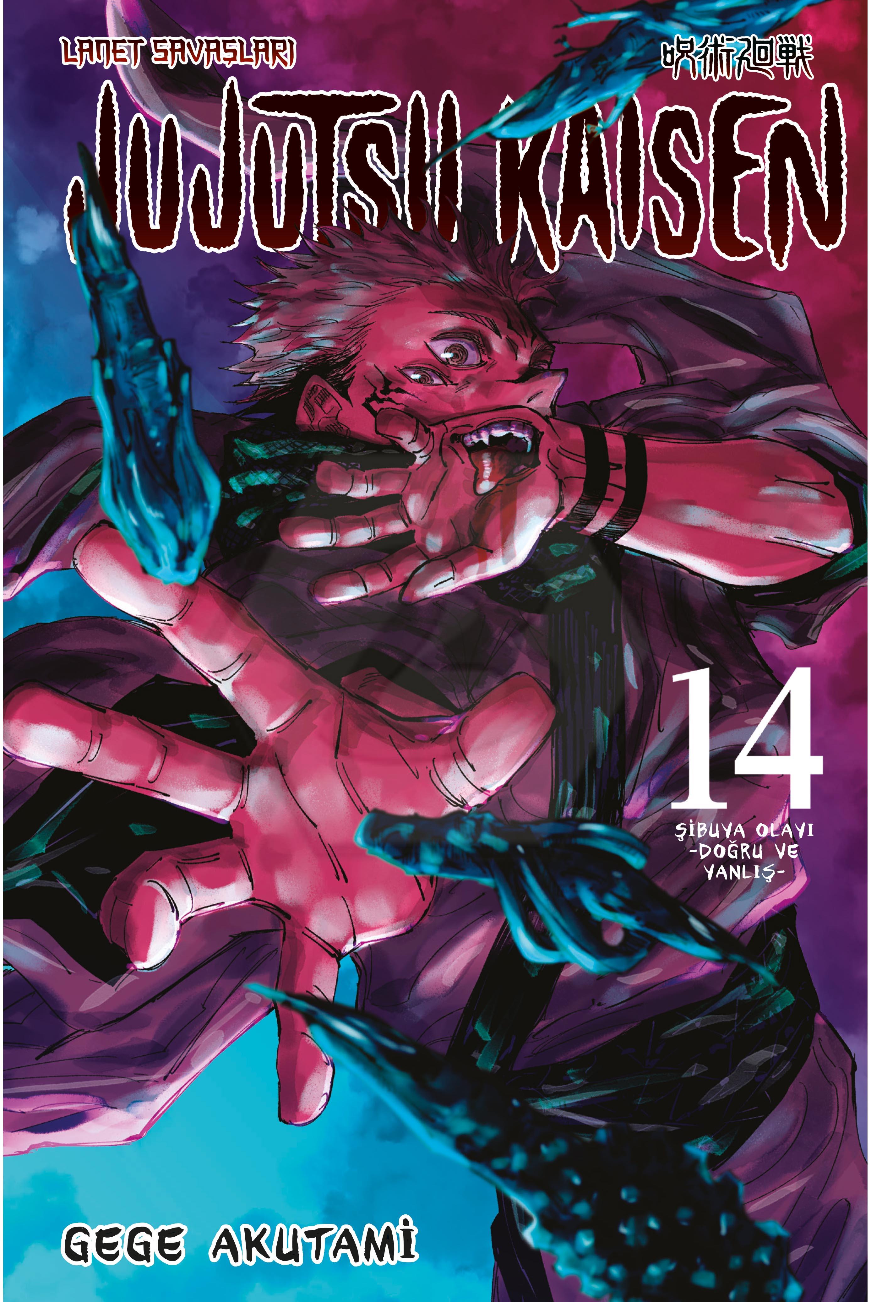 Jujutsu Kaisen 14