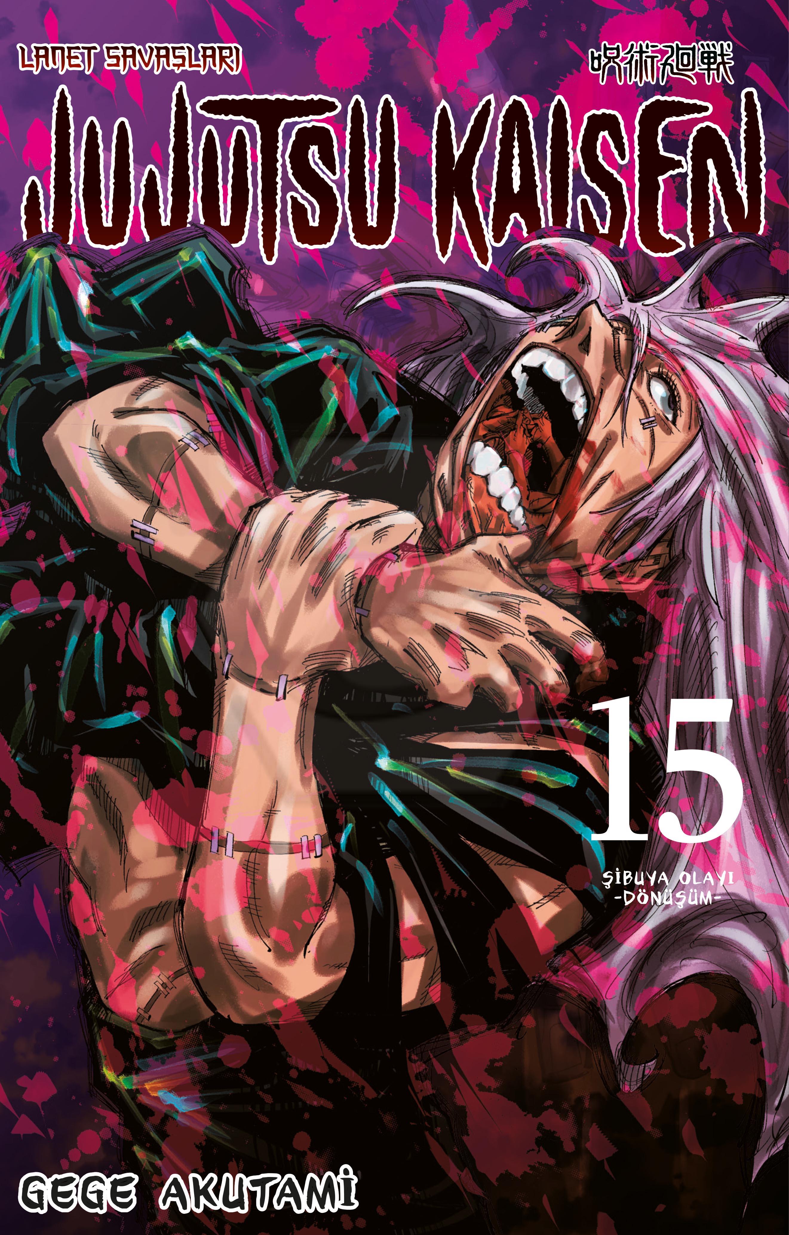 Jujutsu Kaisen 15