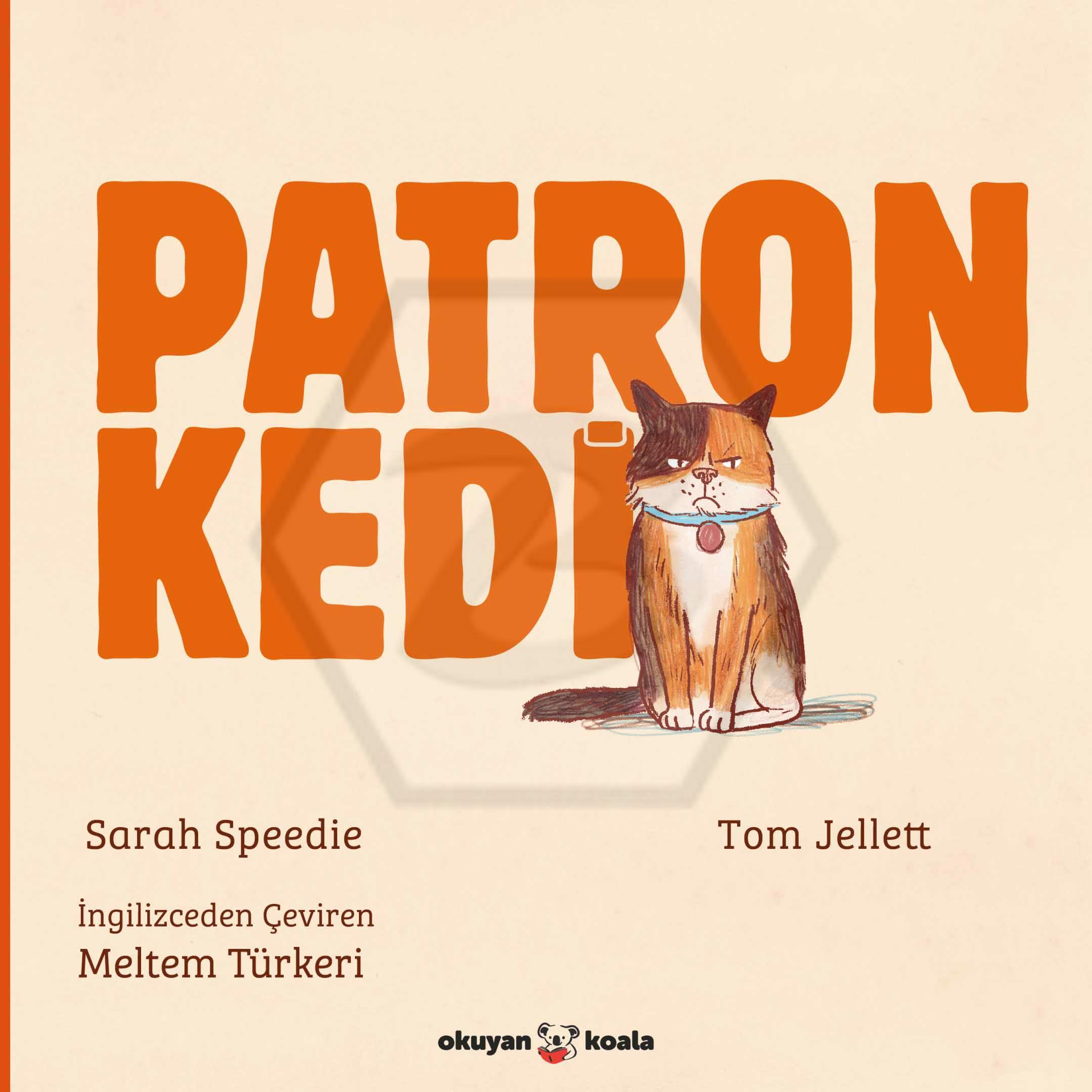 Patron Kedi