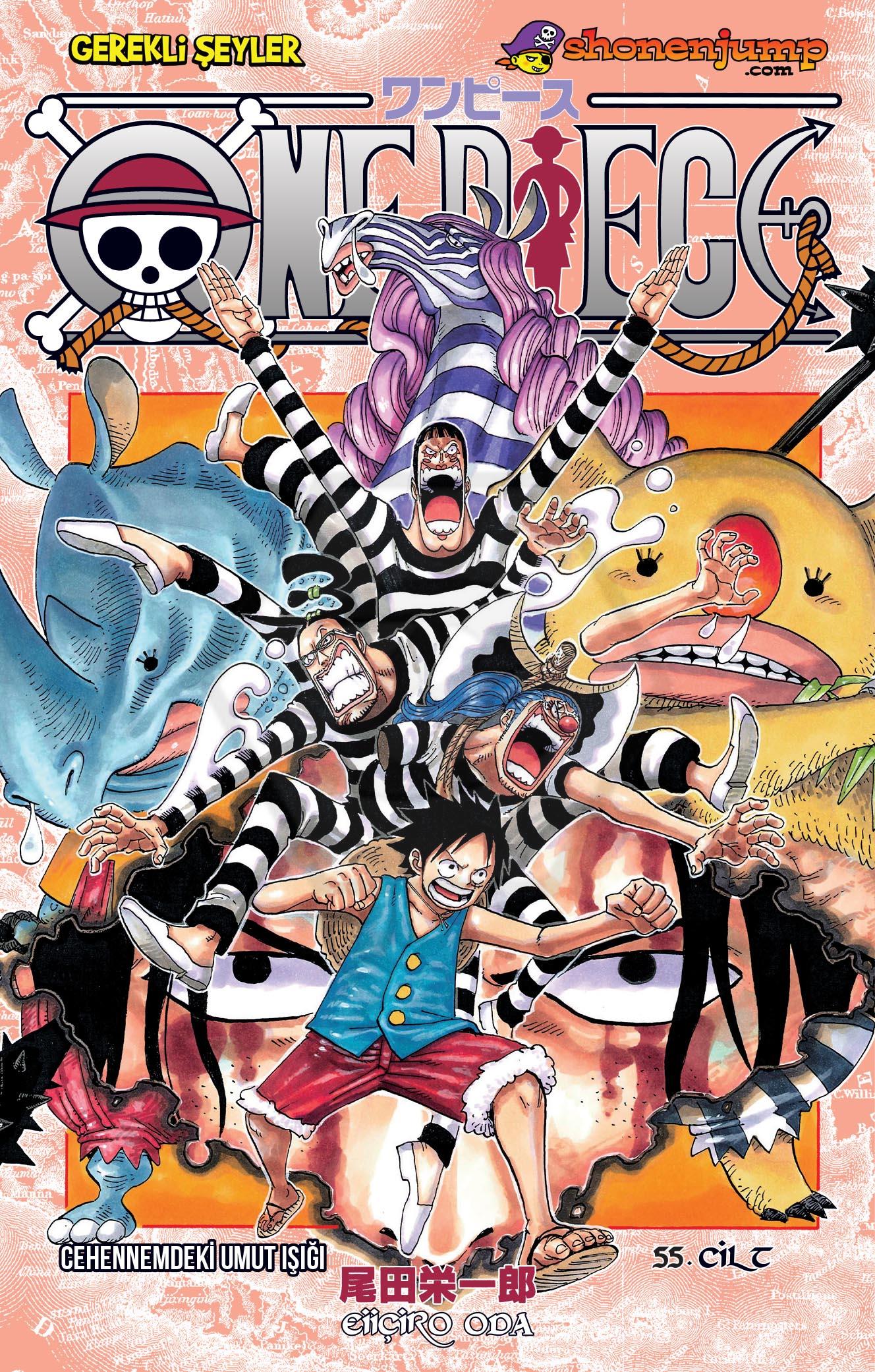 One Piece 55
