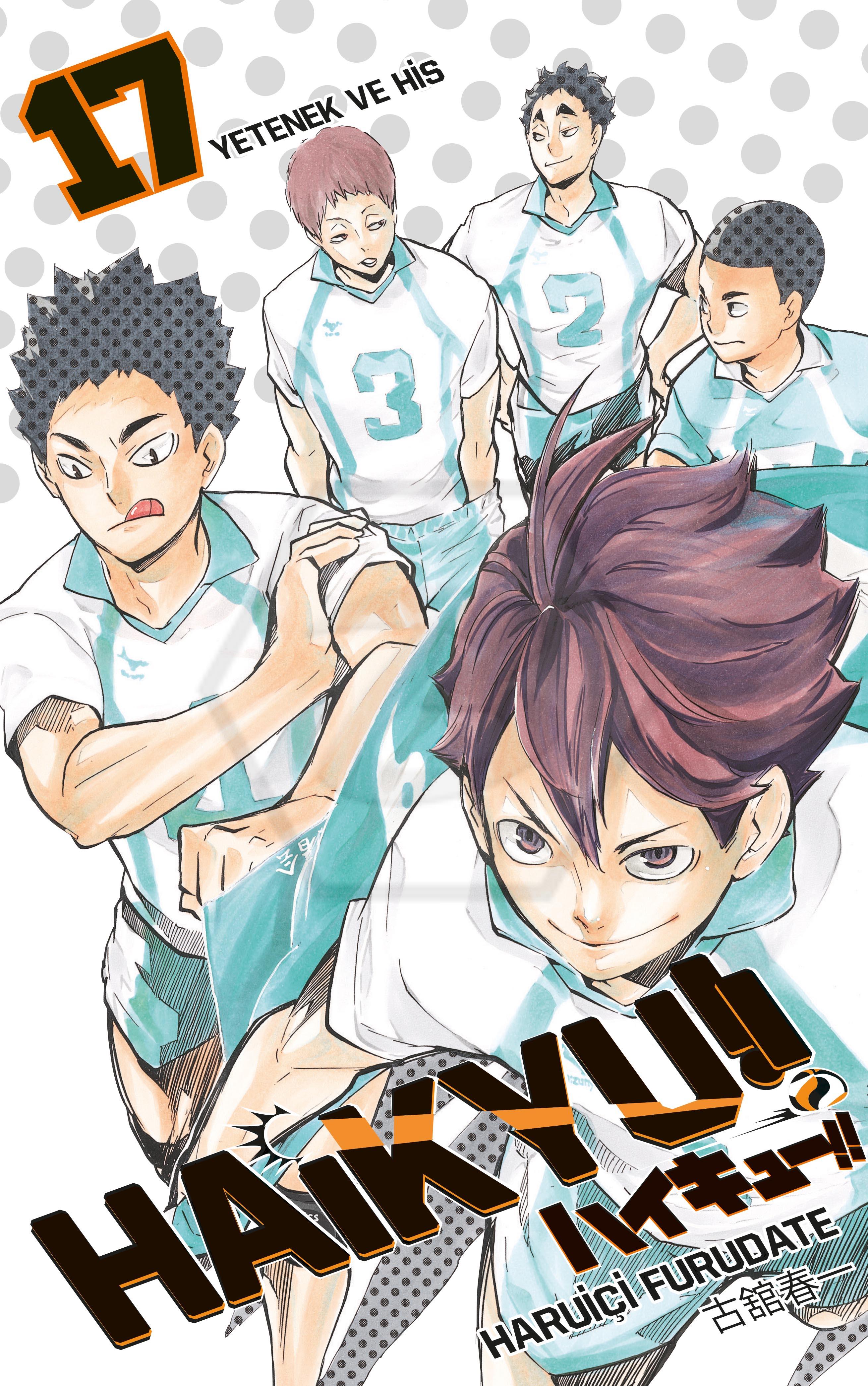 Haikyu!! 17