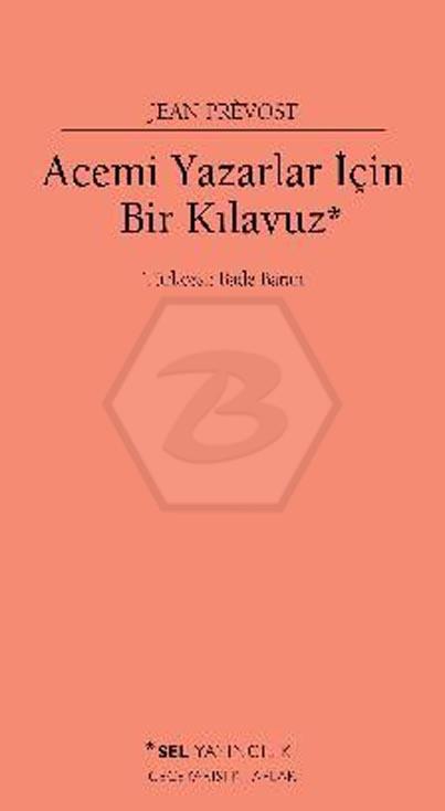 Acemi Yazarlar İçin Bir Kılavuz