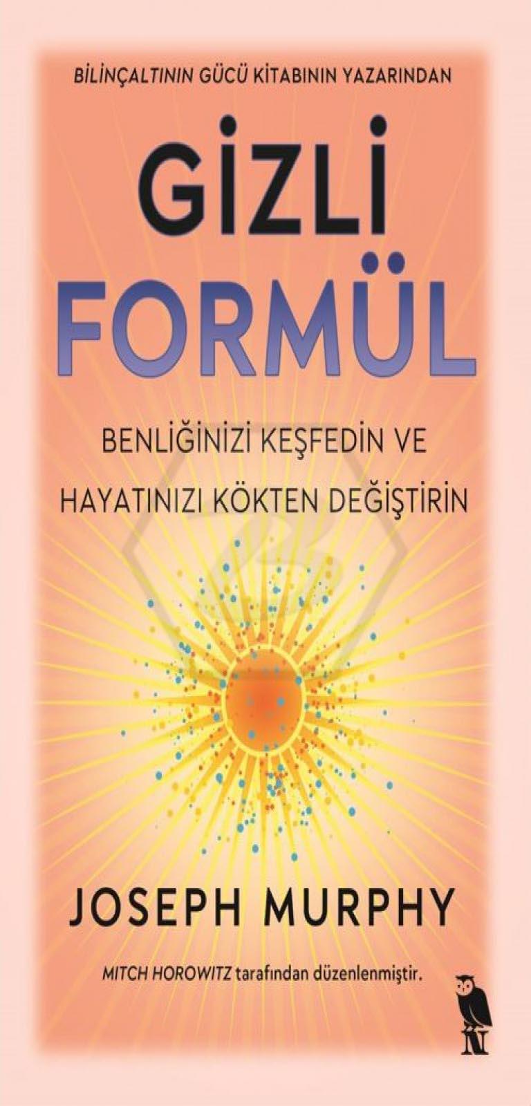 Gizli Formül