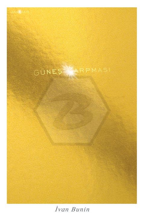 Güneş Çarpması