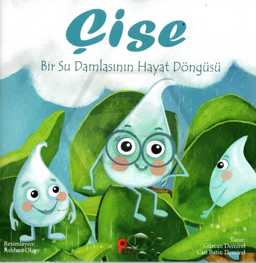 Çise:Bir Su Damlasının Hayat Döngüsü
