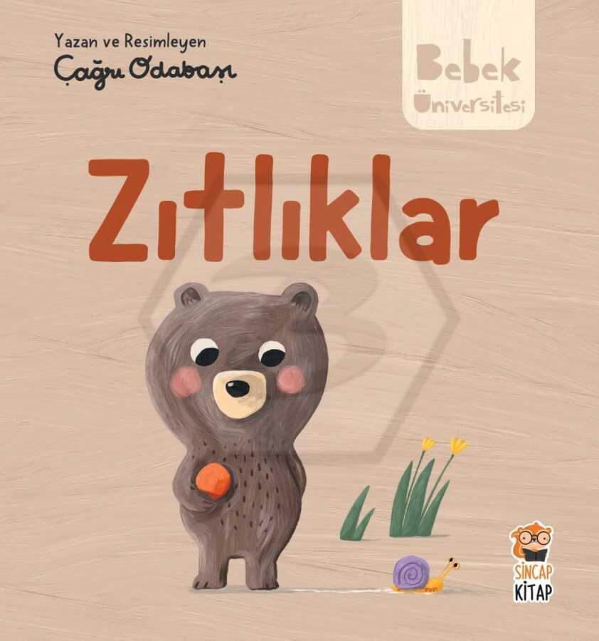 Bebek Üniversitesi - Zıtlıklar