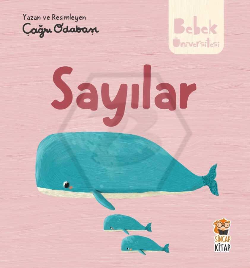 Bebek Üniversitesi -Sayılar