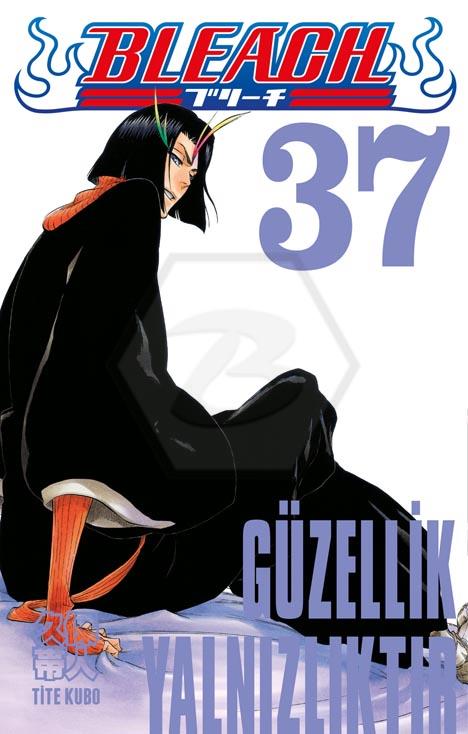 Bleach 37