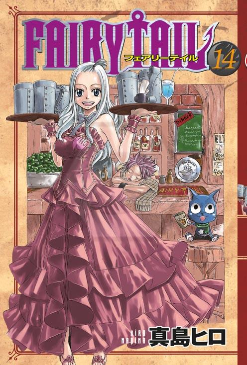 Fairy Tail 14