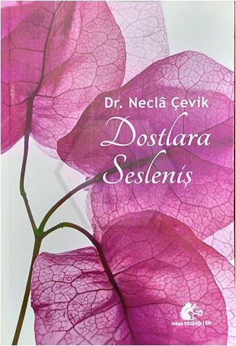 Dostlara Sesleniş
