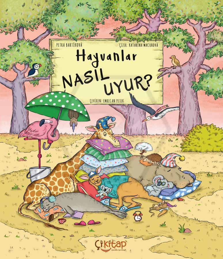 Hayvanlar Nasıl Uyur?