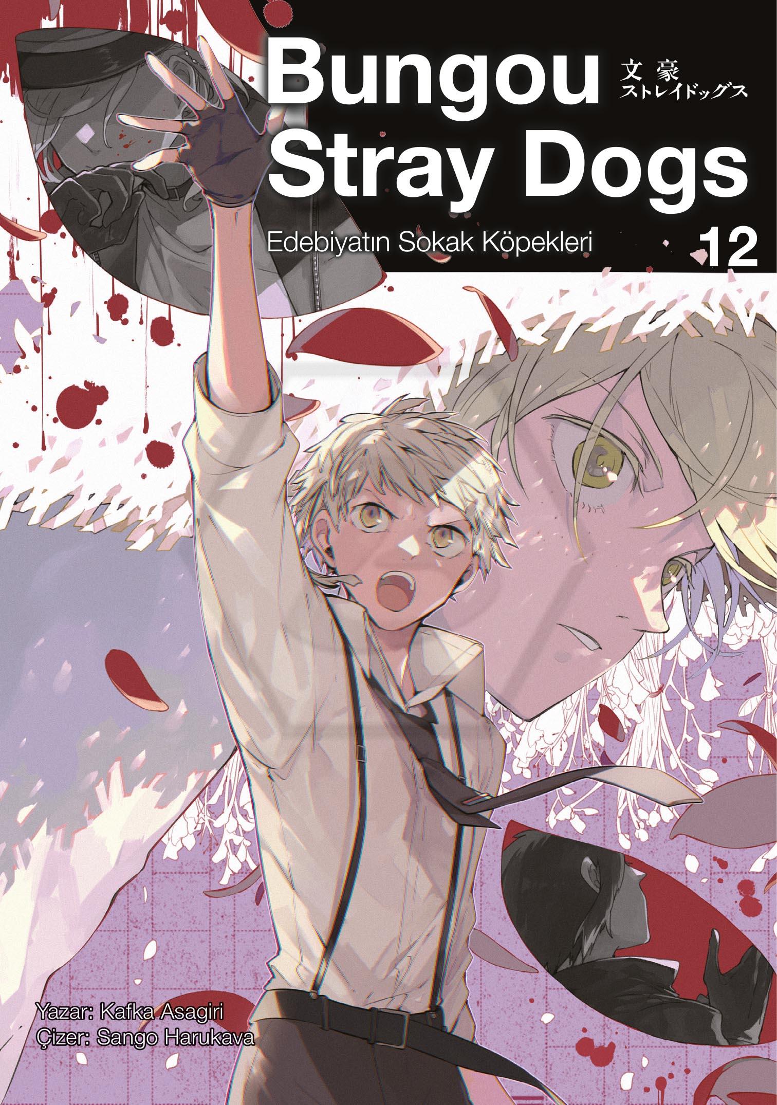 Bungou Stray Dogs 12