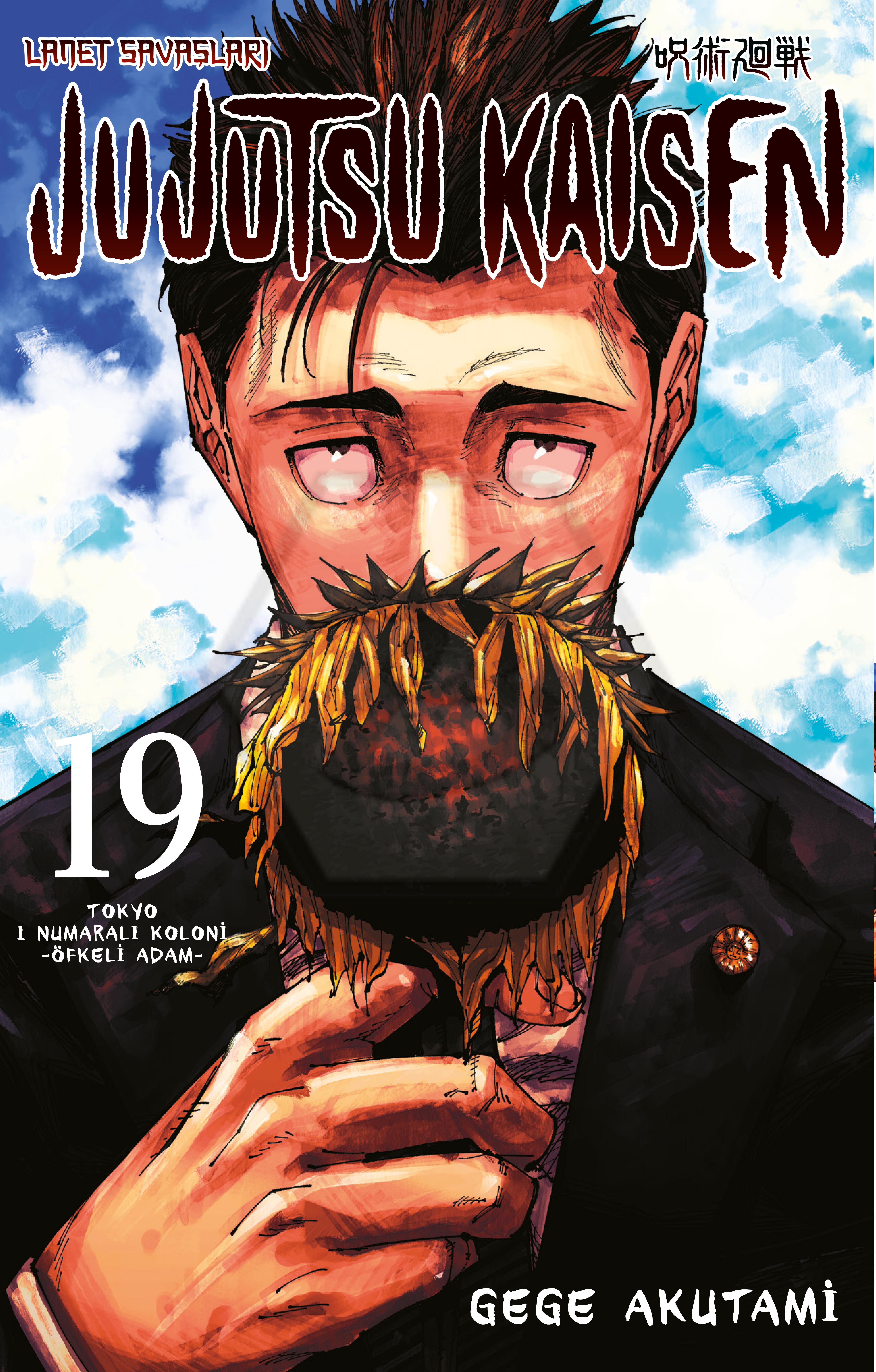 Jujutsu Kaisen 19