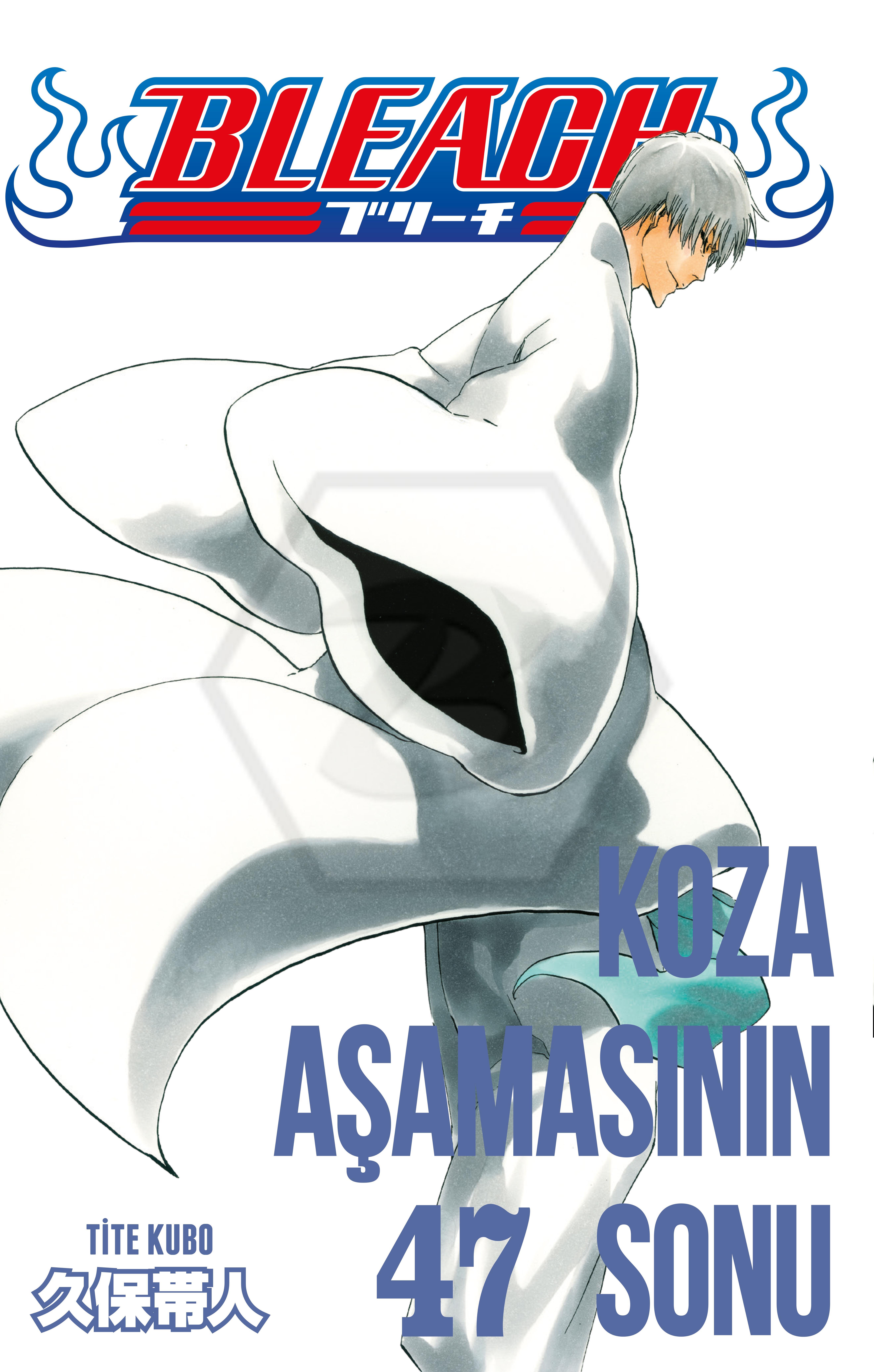 Bleach 47