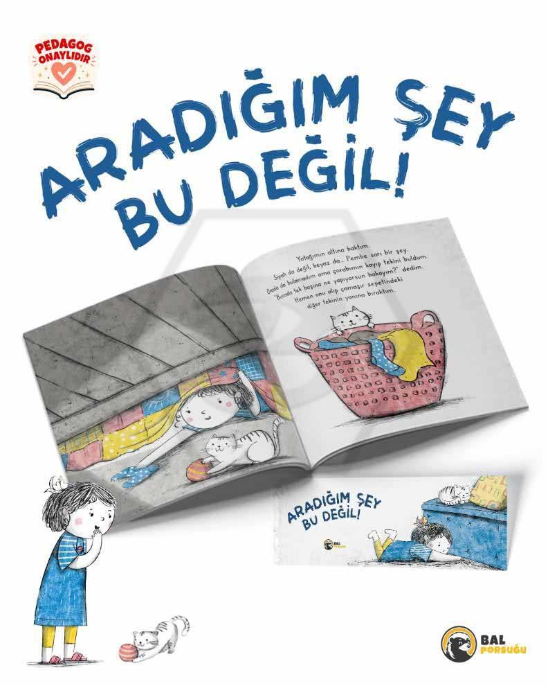 Aradığım Şey Bu Değil!