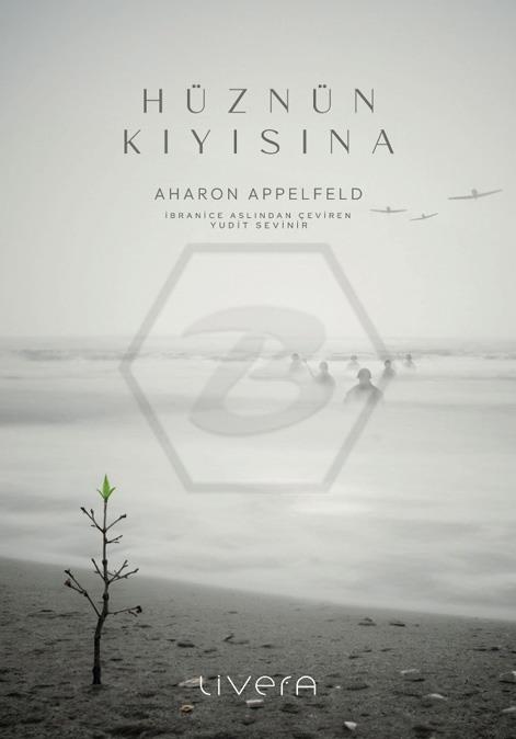 Hüznün Kıyısına